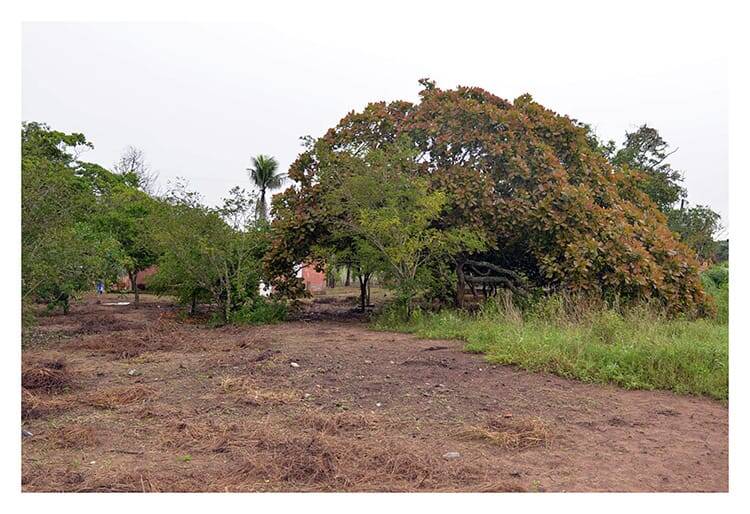 Chácara à venda com 3 quartos, 21780m² - Foto 7