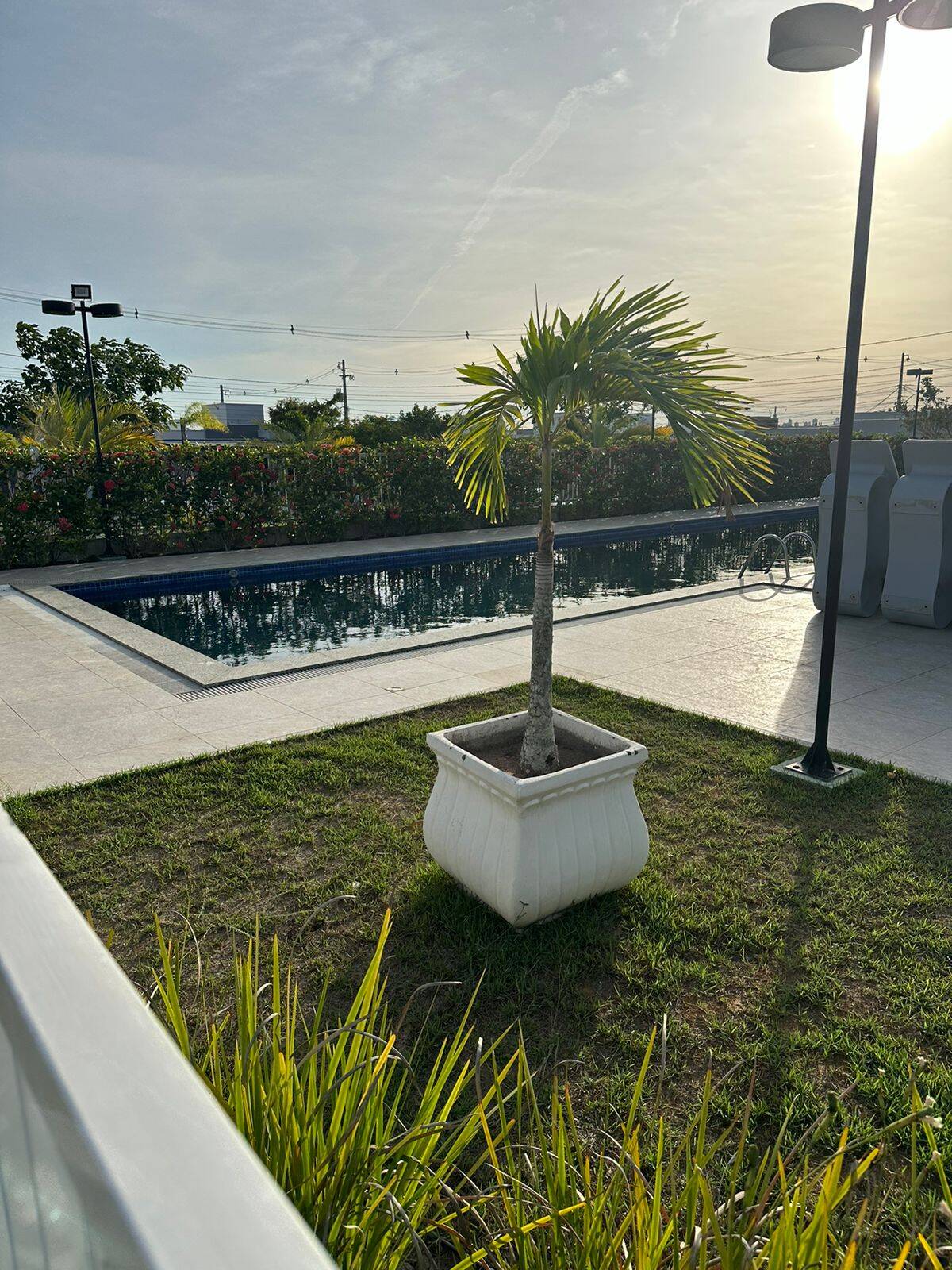 Casa, 3 quartos - Foto 30