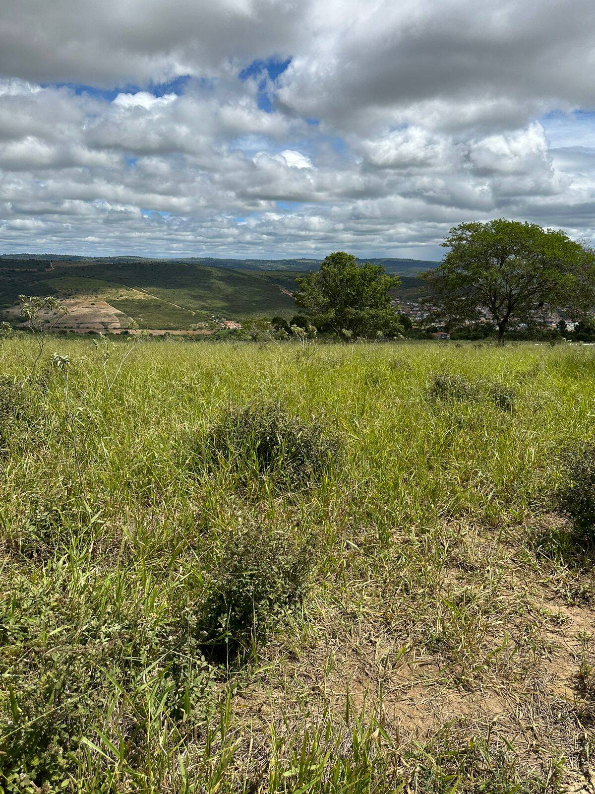 Terreno, 219 m² - Foto 3