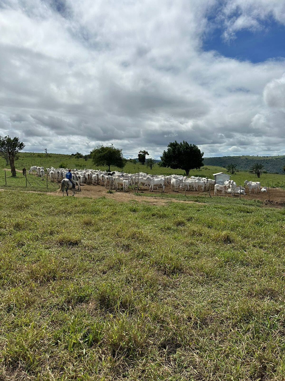 Terreno, 219 m² - Foto 6