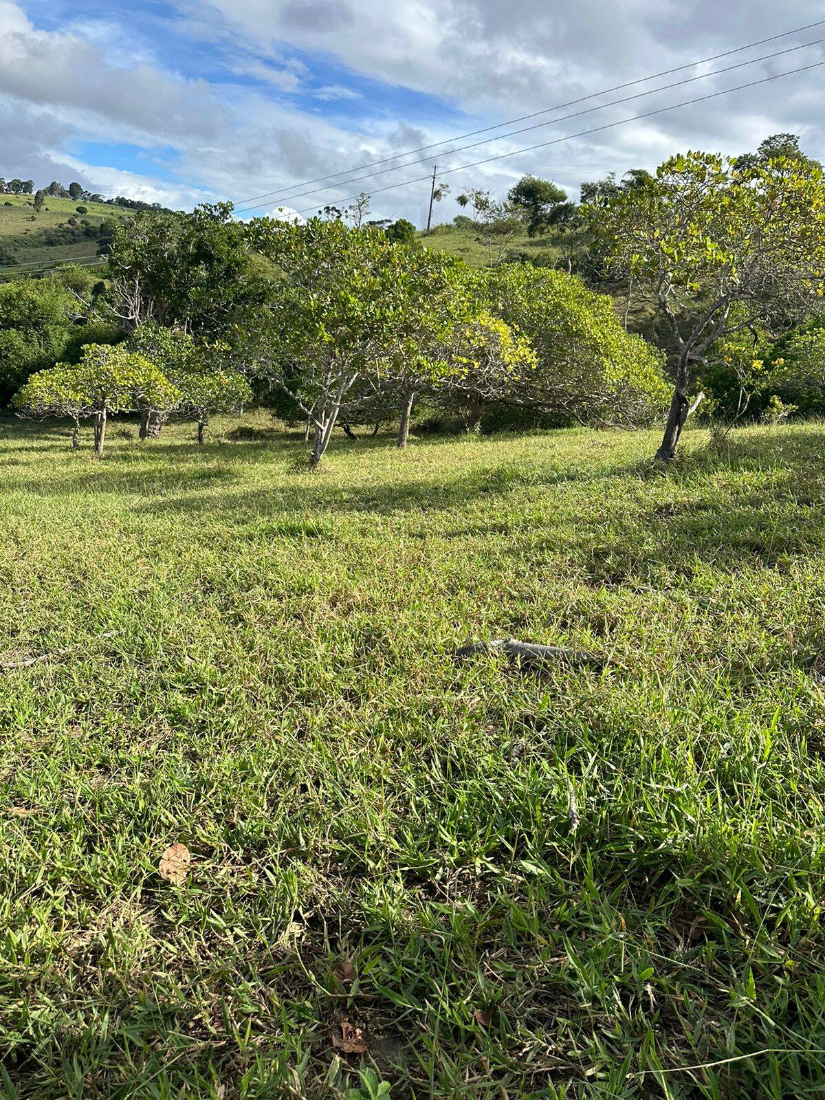 Terreno, 219 m² - Foto 10