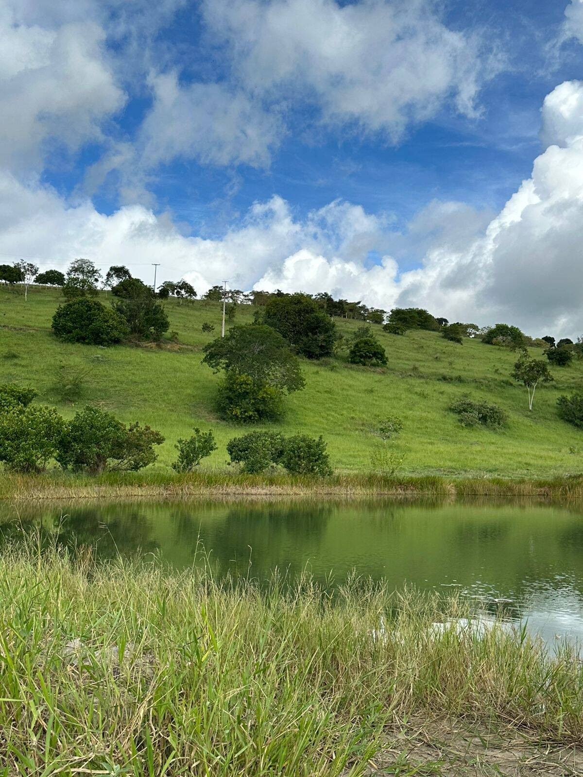 Terreno, 219 m² - Foto 13