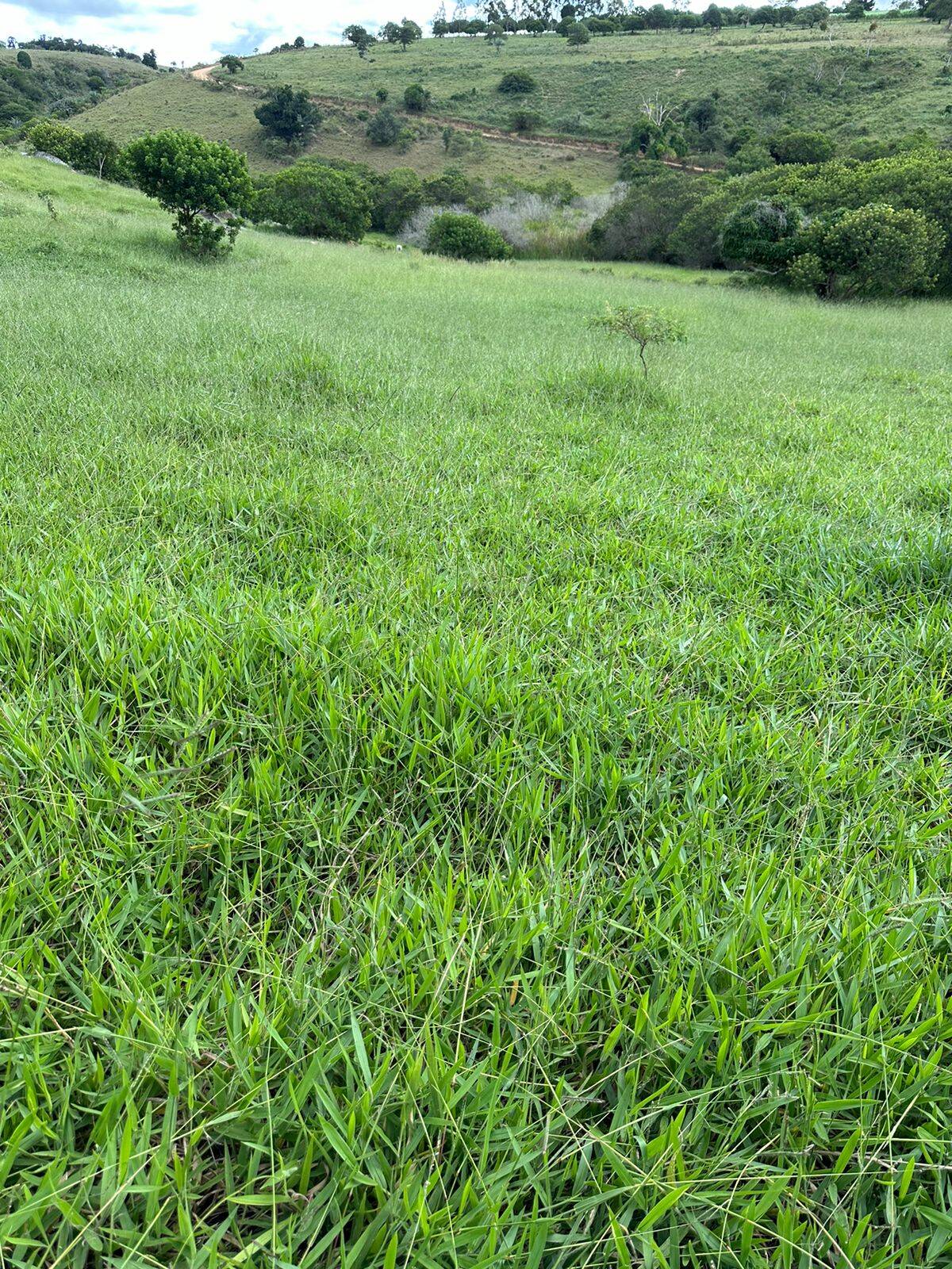 Terreno, 219 m² - Foto 14