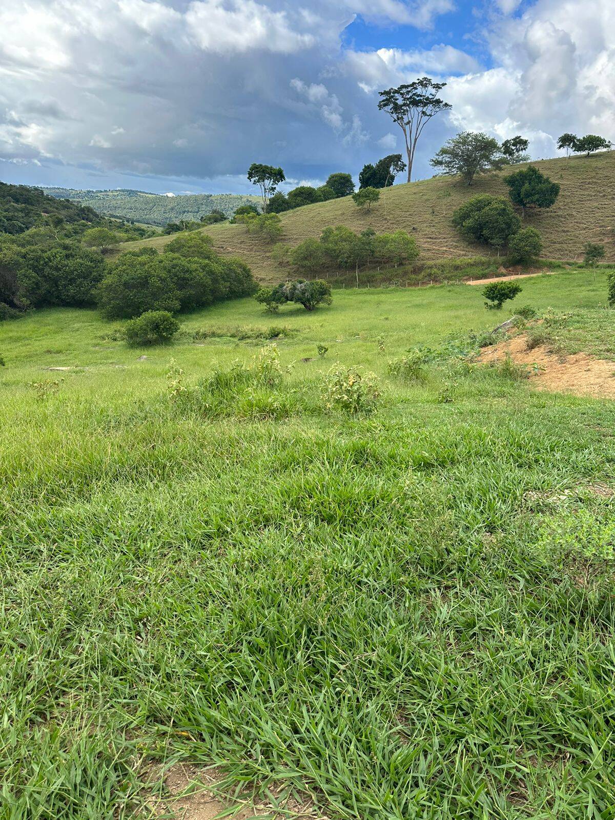 Terreno, 219 m² - Foto 16