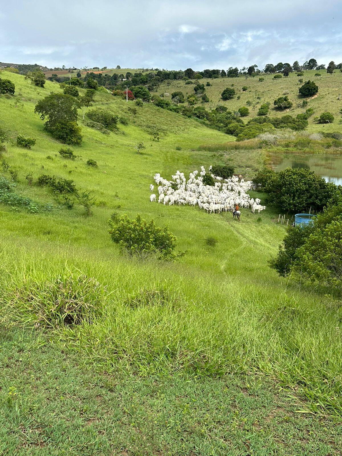 Terreno, 219 m² - Foto 1