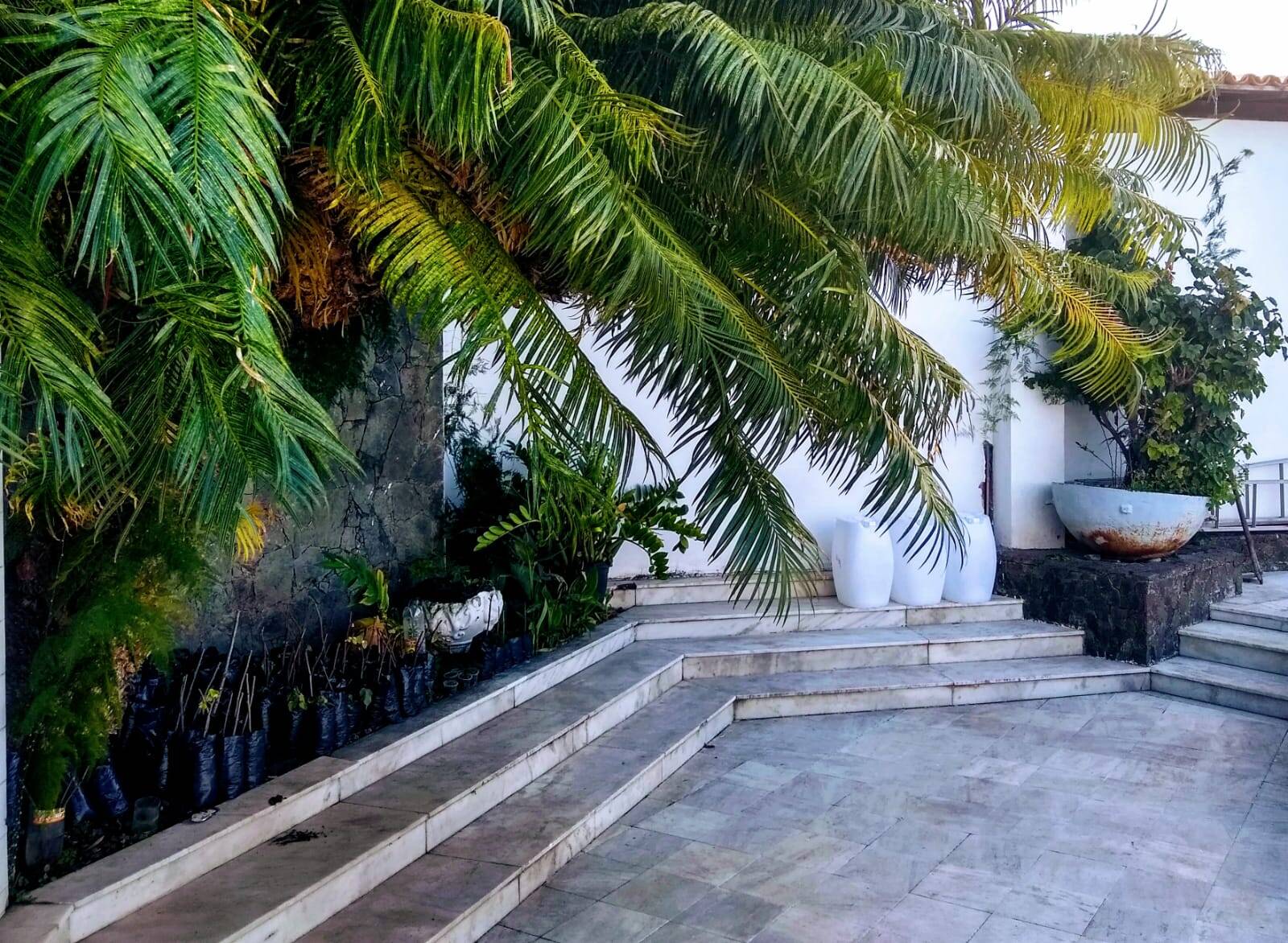 Casa à venda com 6 quartos, 753m² - Foto 10