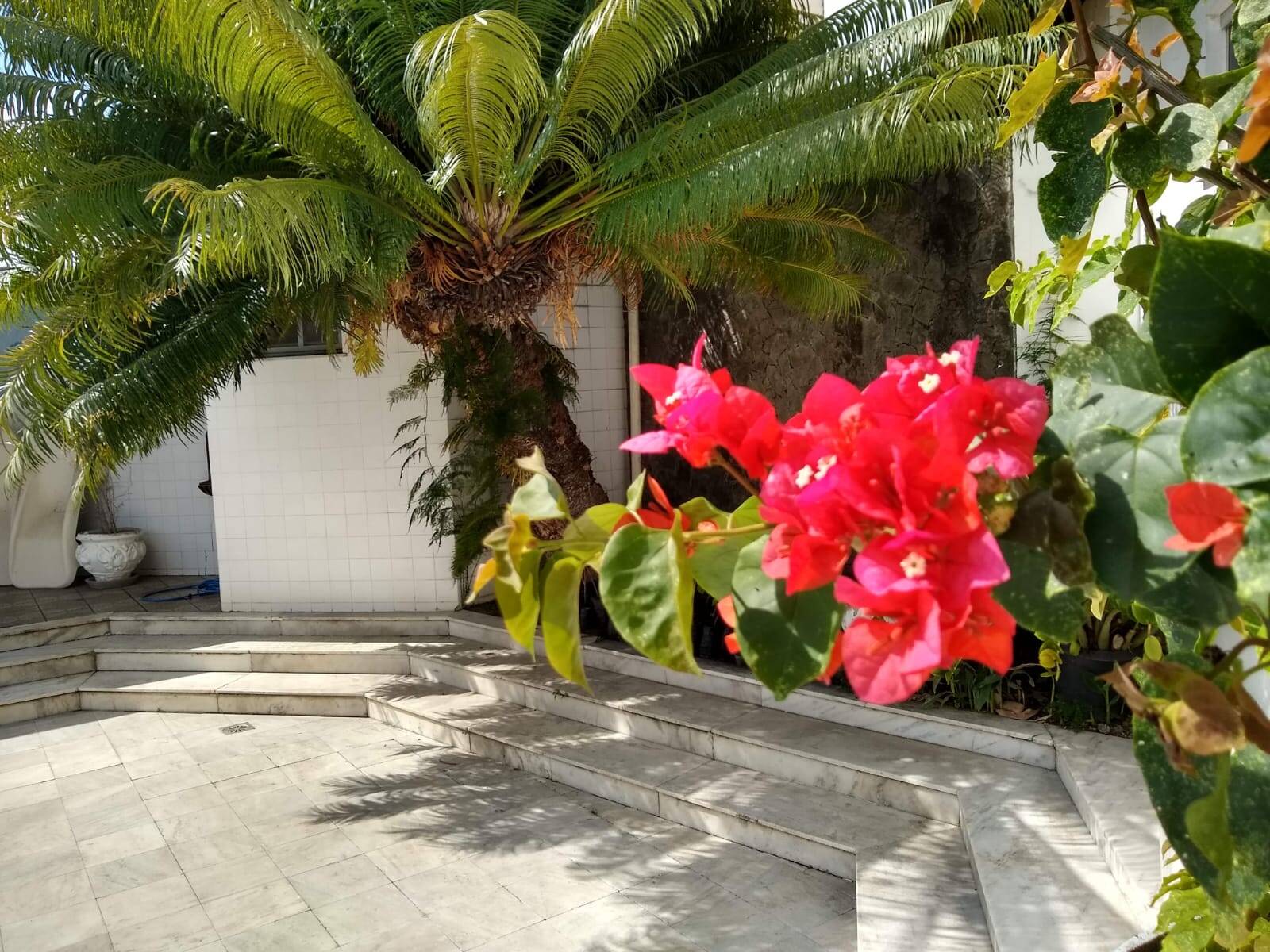 Casa à venda com 6 quartos, 753m² - Foto 11