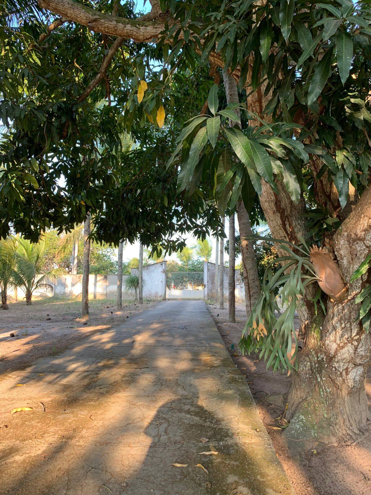 Chácara, 5 quartos, 1 hectares - Foto 15