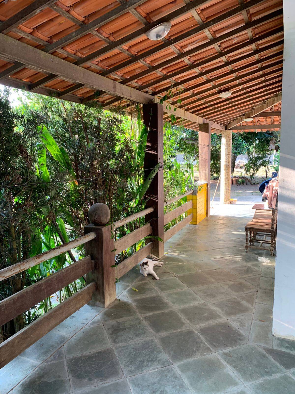 Chácara, 5 quartos, 1 hectares - Foto 13