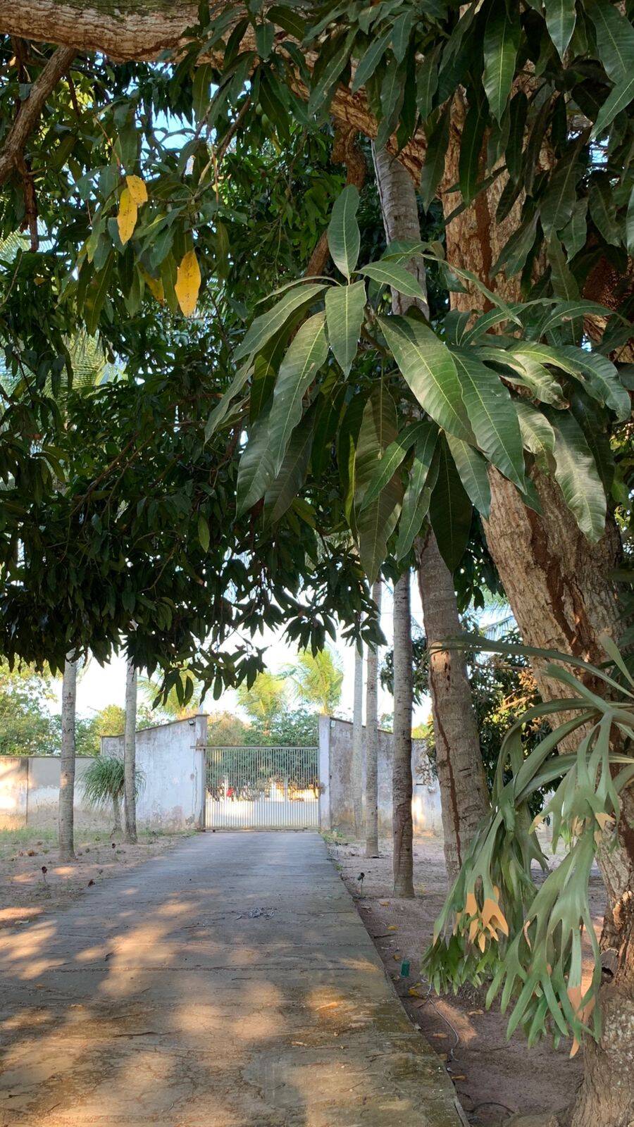 Chácara, 5 quartos, 1 hectares - Foto 19