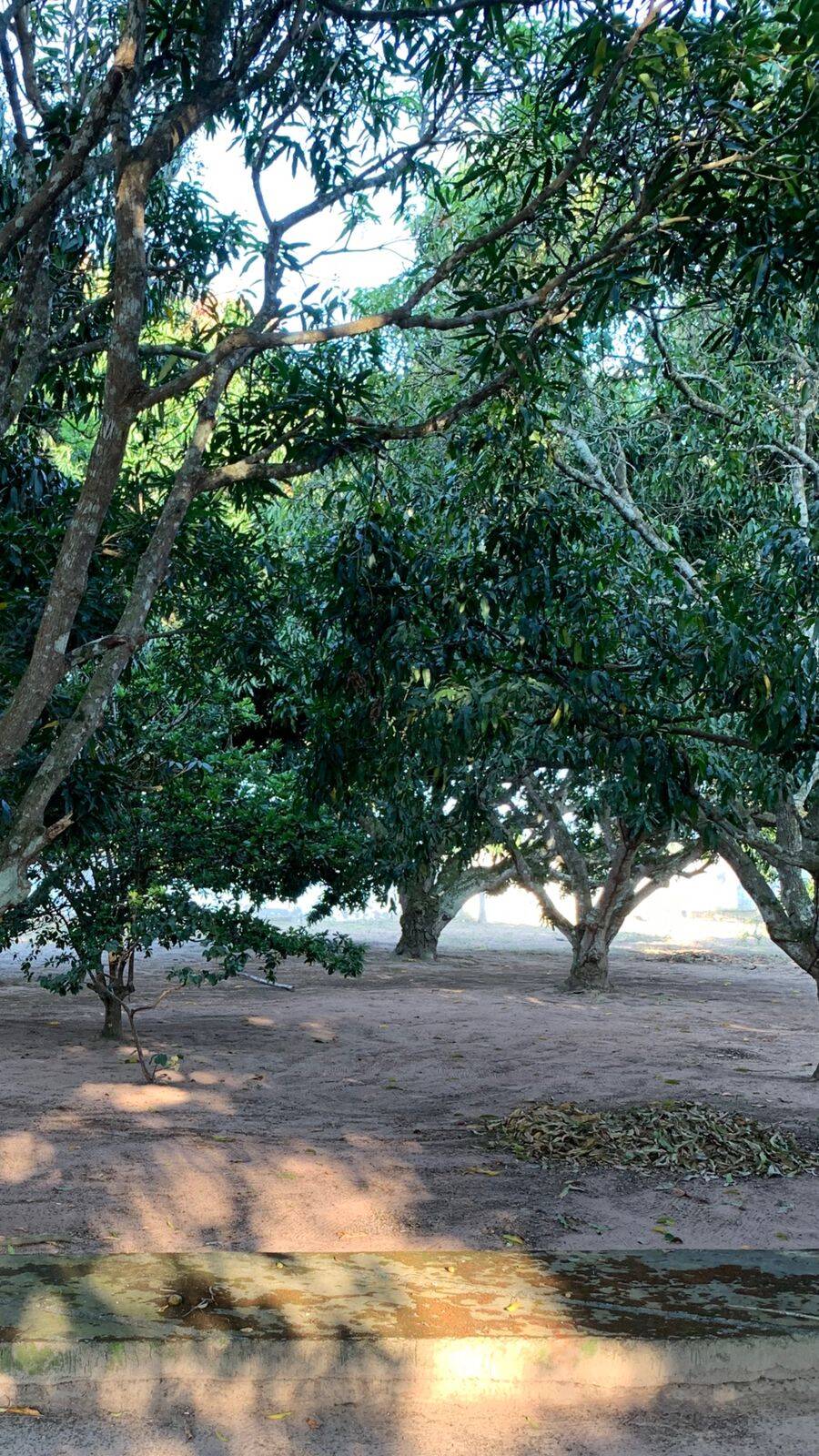 Chácara, 5 quartos, 1 hectares - Foto 16