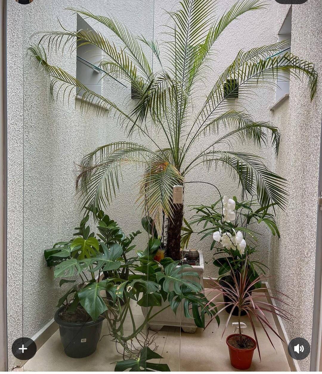 Casa, 2 quartos, 75 m² - Foto 14