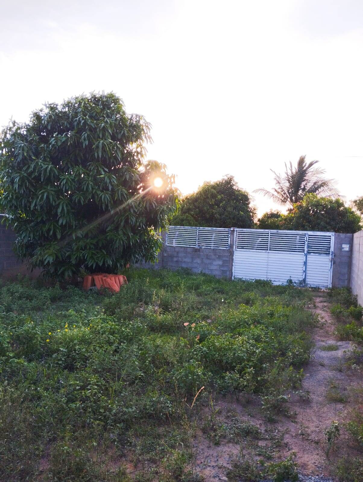 Sítio, 3 quartos, 400 m² - Foto 22