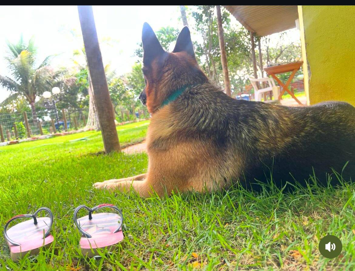 Terreno, 6480 m² - Foto 16