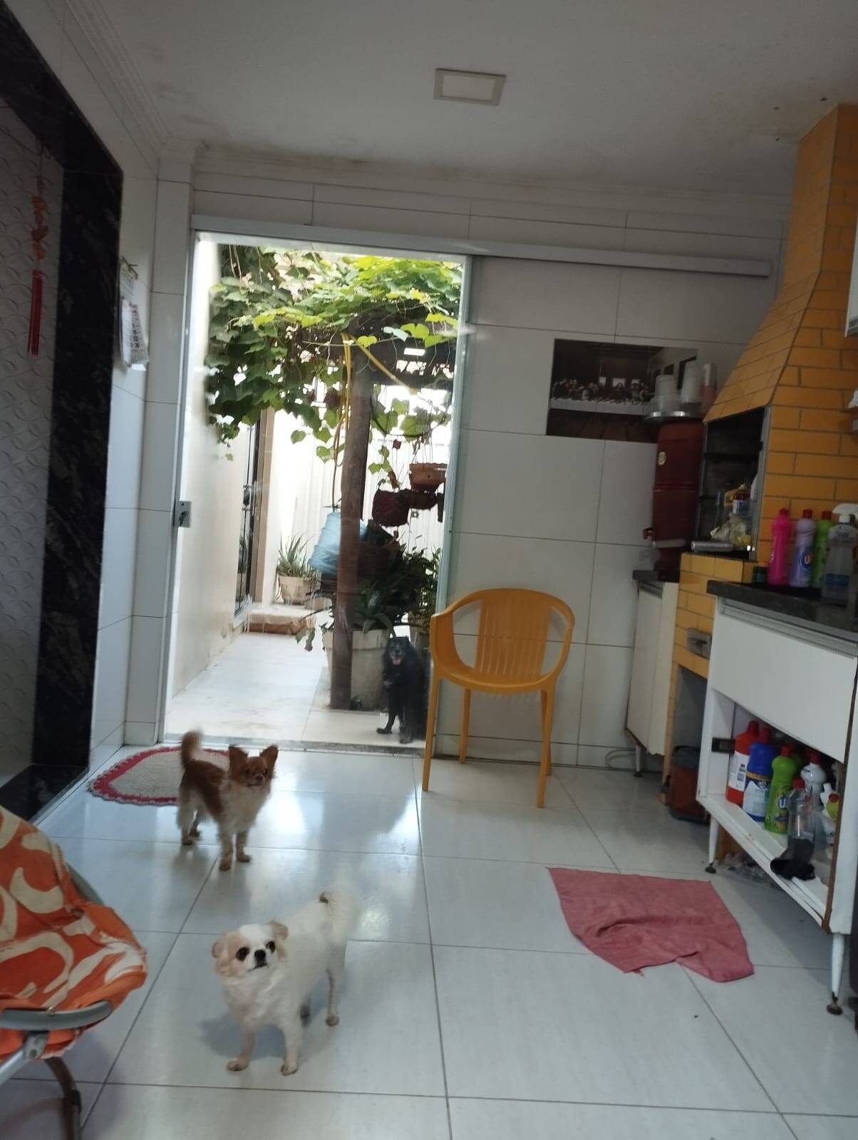 Casa, 3 quartos - Foto 4