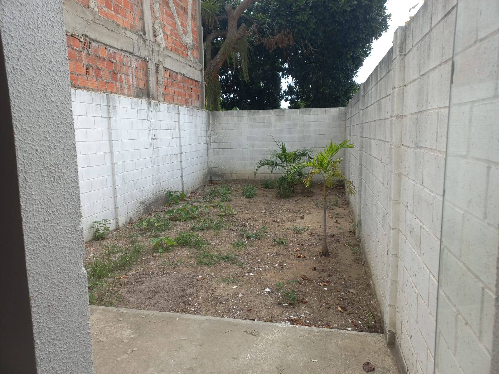 Loja-Salão para alugar - Foto 4