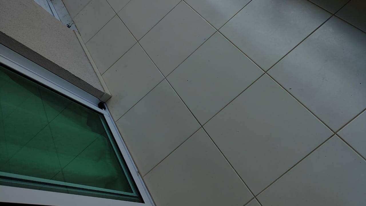 Apartamento para alugar com 2 quartos - Foto 2