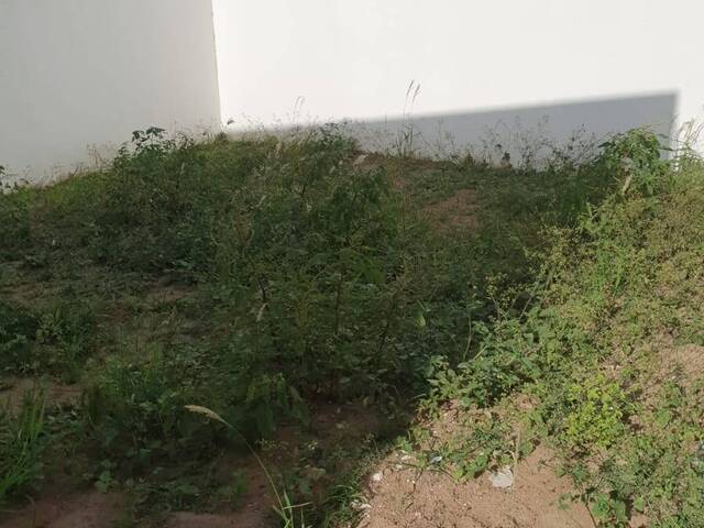 #3087 - Casa para Venda em Feira de Santana - BA - 3