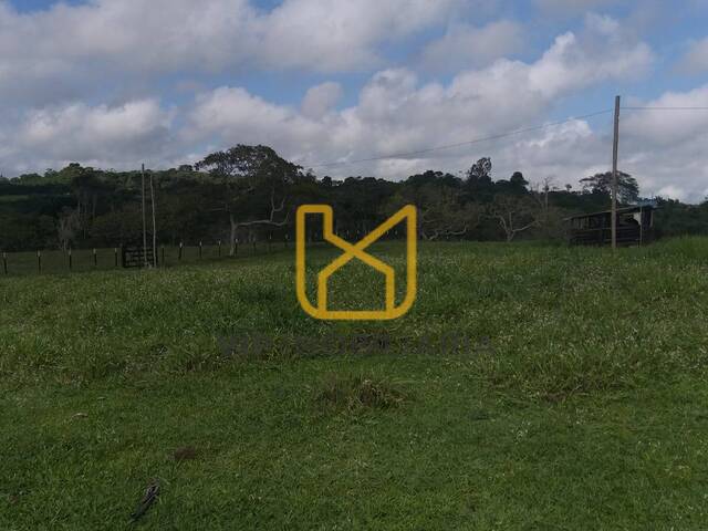 #3178 - Chácara para Venda em São Gonçalo dos Campos - BA - 2