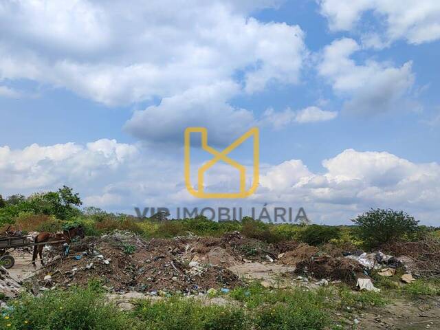 #3574 - Área para Venda em Feira de Santana - BA - 3