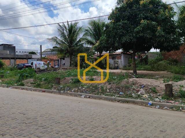 #3637 - Área para Venda em Feira de Santana - BA - 1