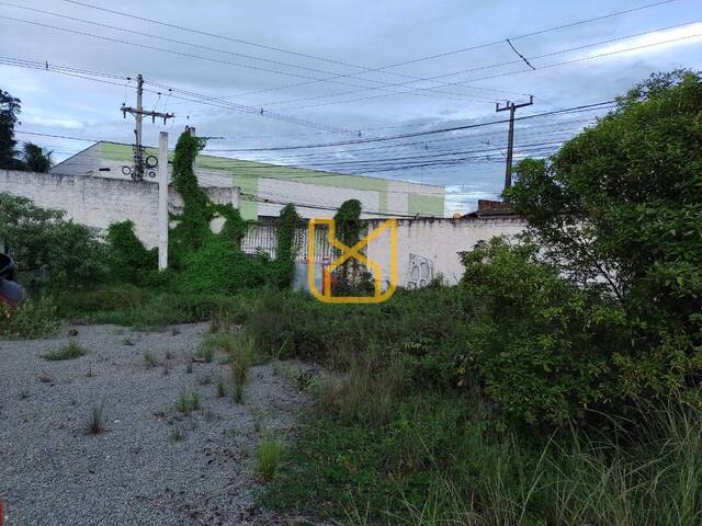 Área para Venda em Feira de Santana - 5