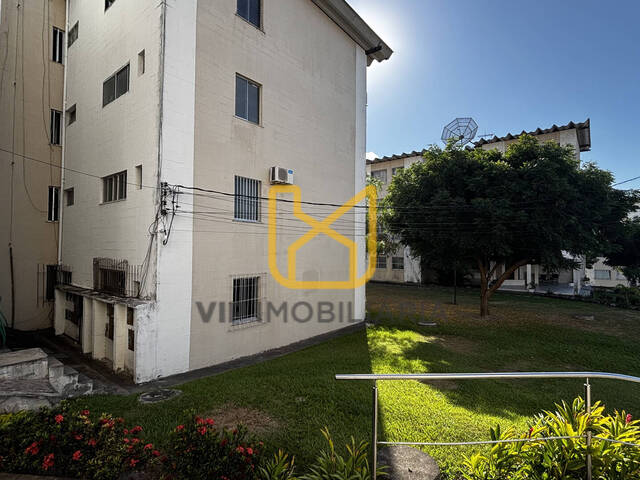 Apartamentos para Locação em Feira de Santana - 5